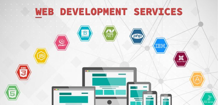 What Services Do Web Developers Offer